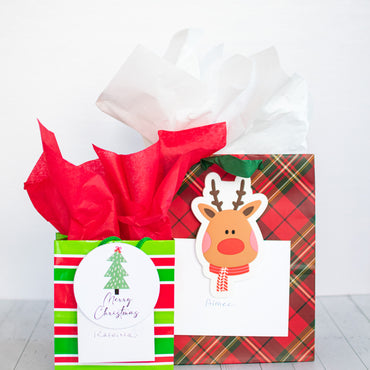 Reindeer Greeting Card Attachment